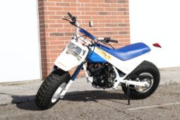 1986 Honda FatCAt TR200