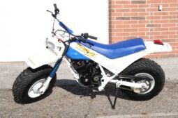 1986 Honda FatCAt TR200