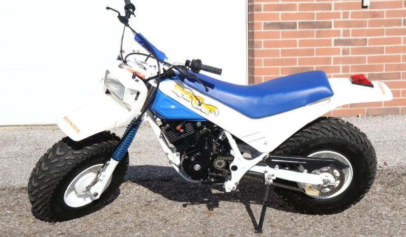 
								1986 Honda FatCAt TR200 full									