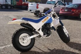 1986 Honda FatCAt TR200
