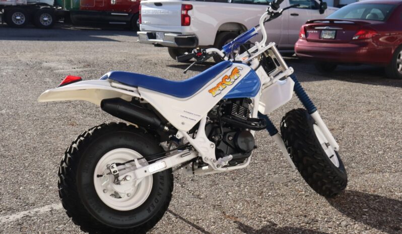 
								1986 Honda FatCAt TR200 full									
