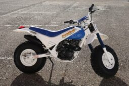 1986 Honda FatCAt TR200