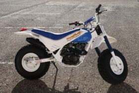 1986 Honda FatCAt TR200
