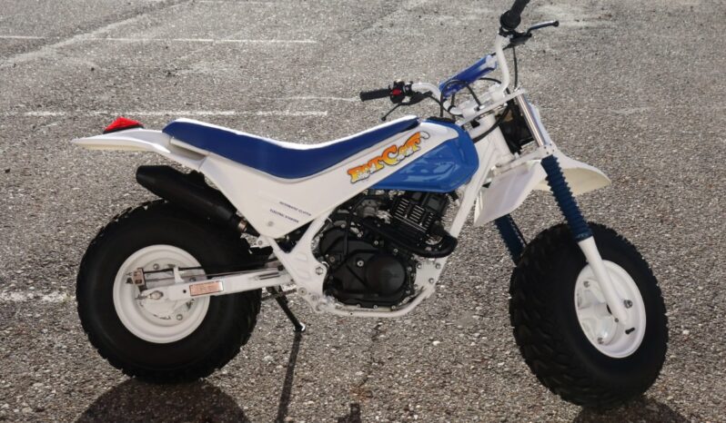 
								1986 Honda FatCAt TR200 full									