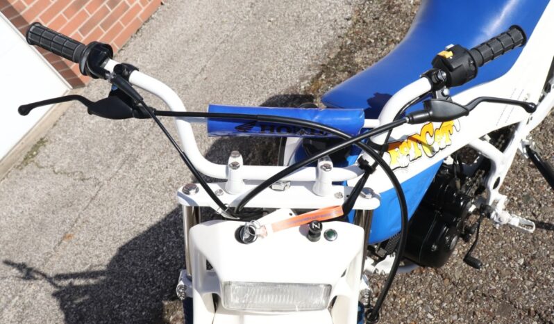 
								1986 Honda FatCAt TR200 full									