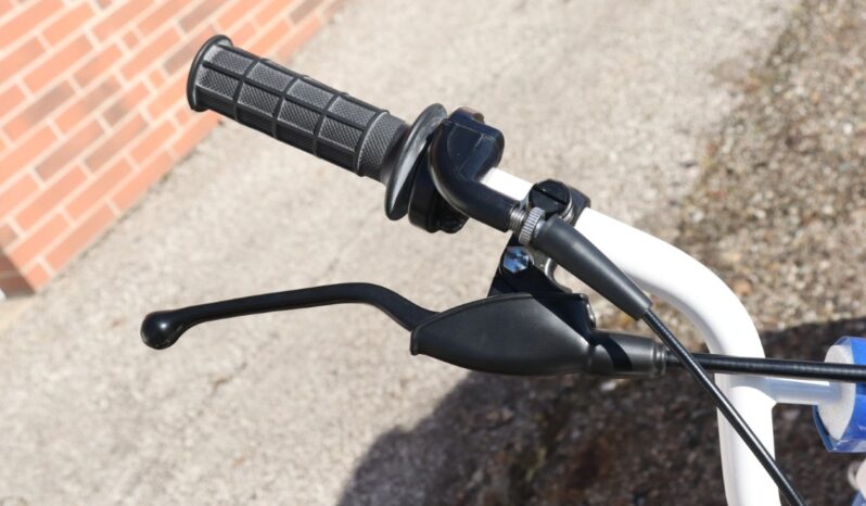 
								1986 Honda FatCAt TR200 full									