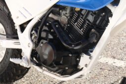 
										1986 Honda FatCAt TR200 full									