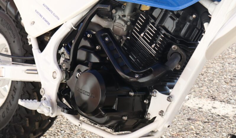 
								1986 Honda FatCAt TR200 full									