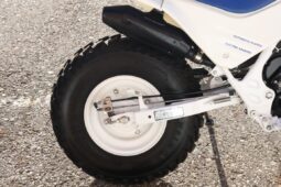 
										1986 Honda FatCAt TR200 full									