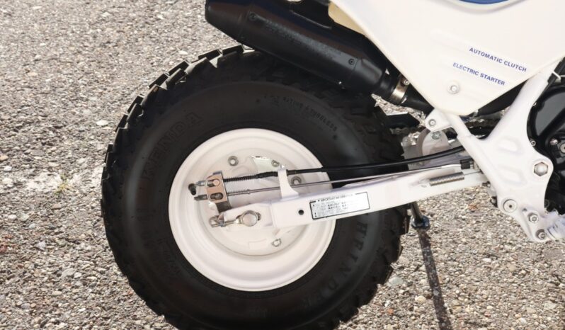 
								1986 Honda FatCAt TR200 full									