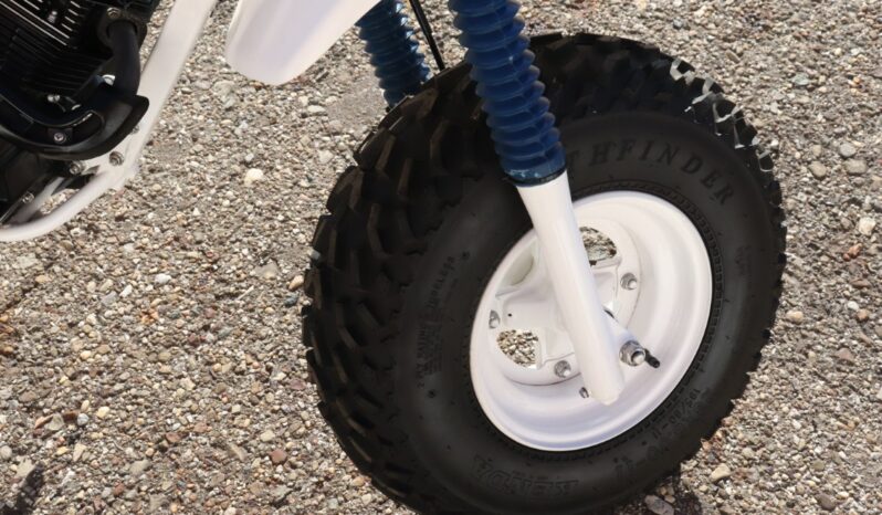 
								1986 Honda FatCAt TR200 full									