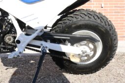 
										1986 Honda FatCAt TR200 full									