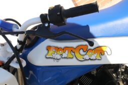 
										1986 Honda FatCAt TR200 full									