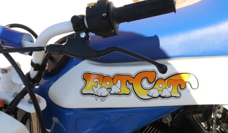 
								1986 Honda FatCAt TR200 full									