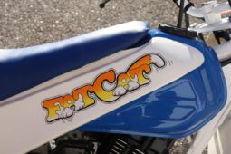 
										1986 Honda FatCAt TR200 full									