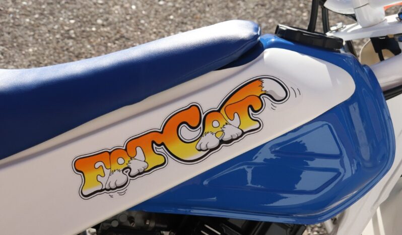 
								1986 Honda FatCAt TR200 full									